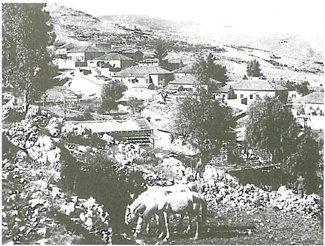 (בספר תמונה של סמל ביל